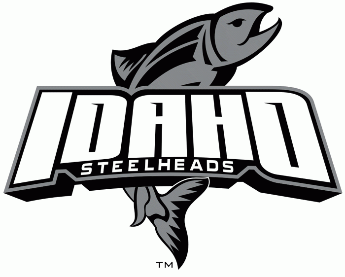 idaho steelheads 2008-pres alternate logo iron on transfers for T-shirts